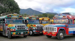 Chicken buses